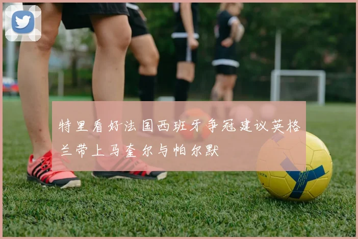 特里看好法国西班牙争冠建议英格兰带上马奎尔与帕尔默